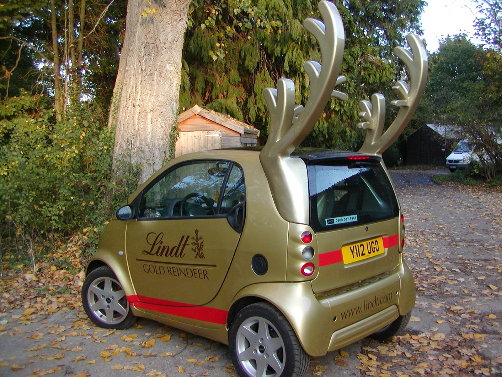 Antler conversion for Smart car