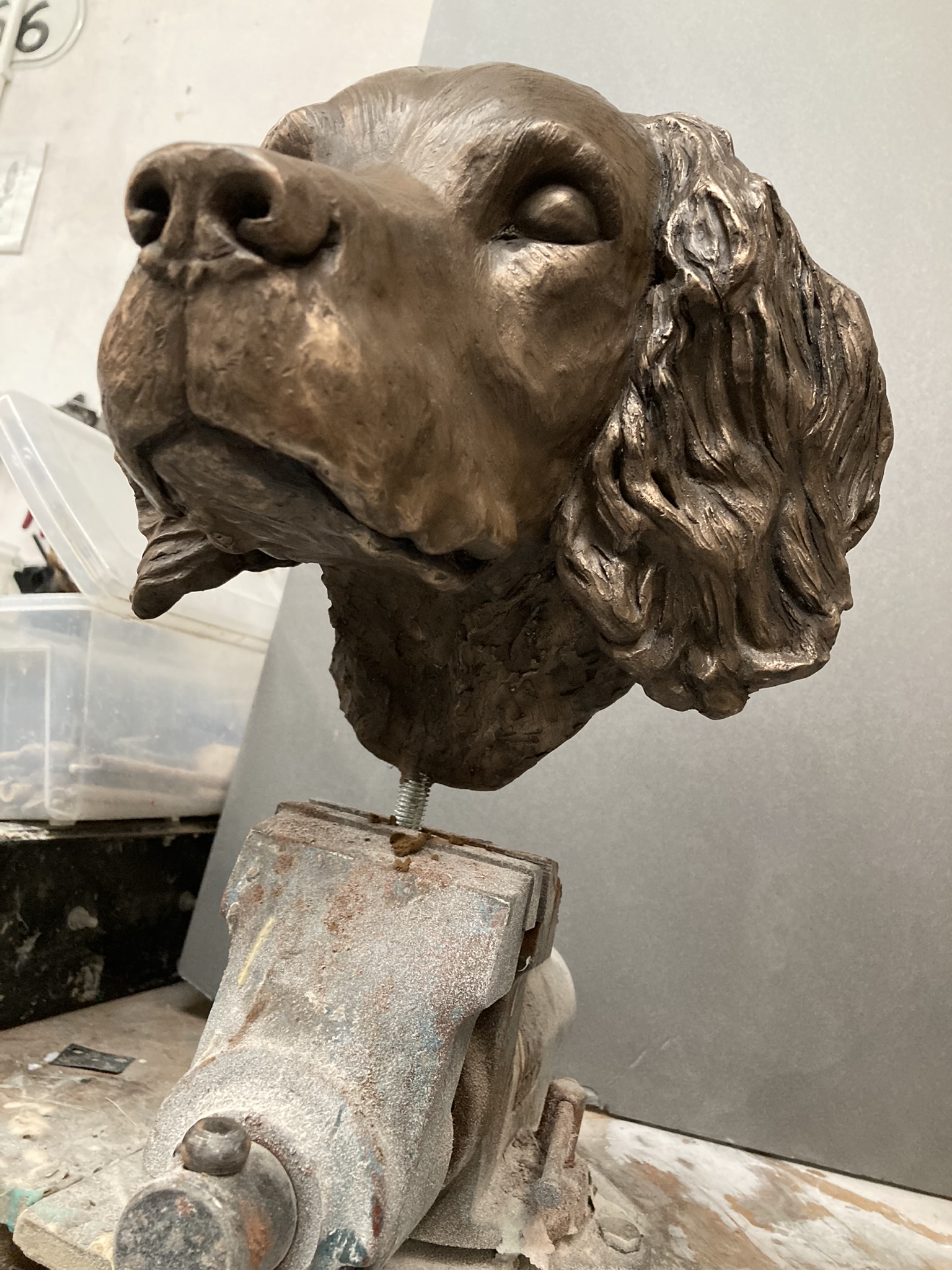 coldcast bronze dog head